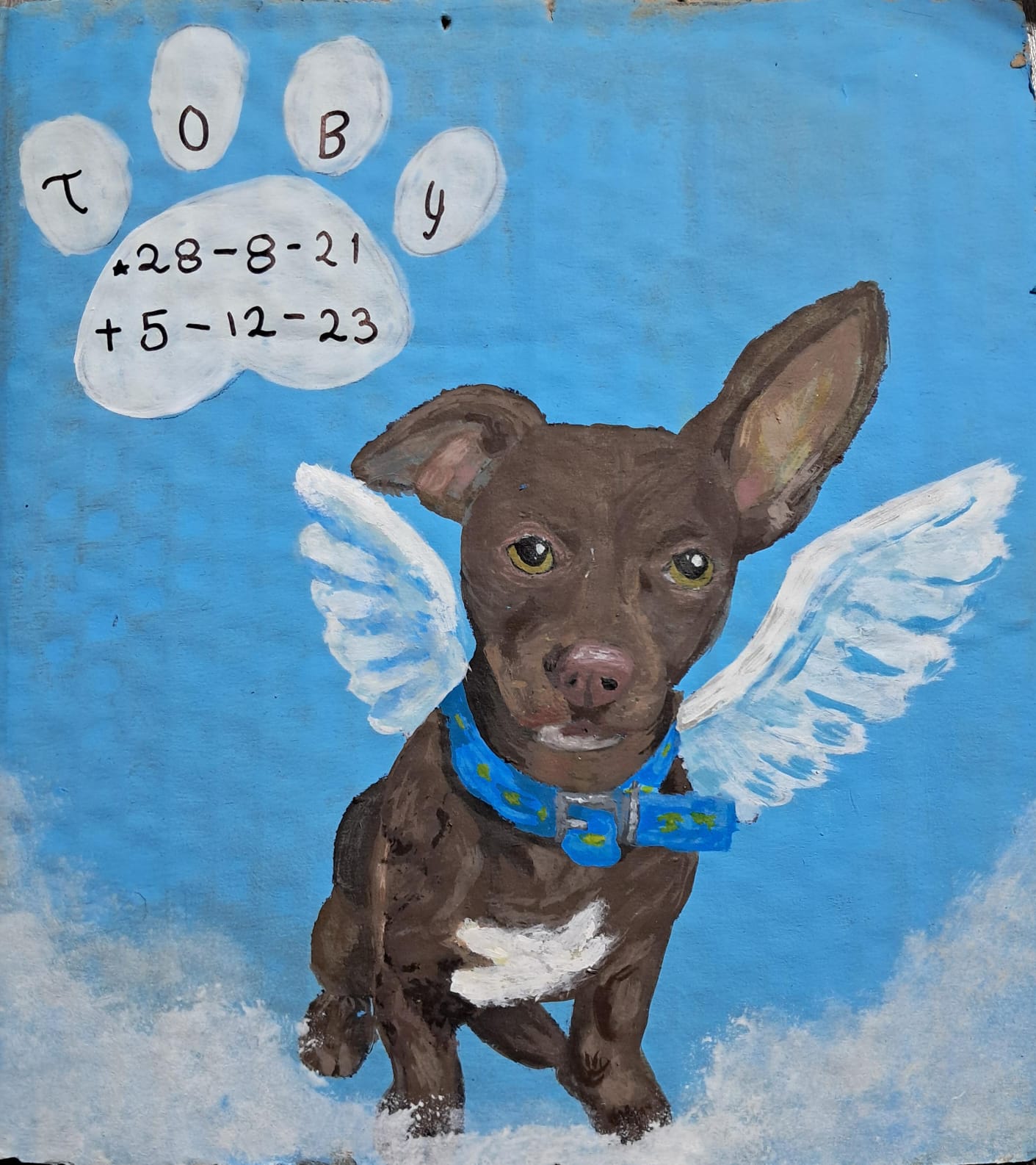 Toby