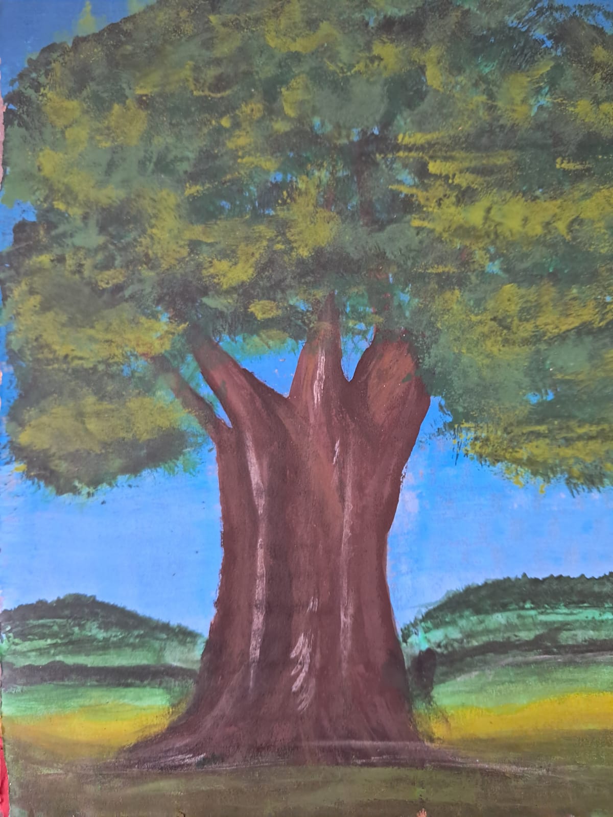 Arbol